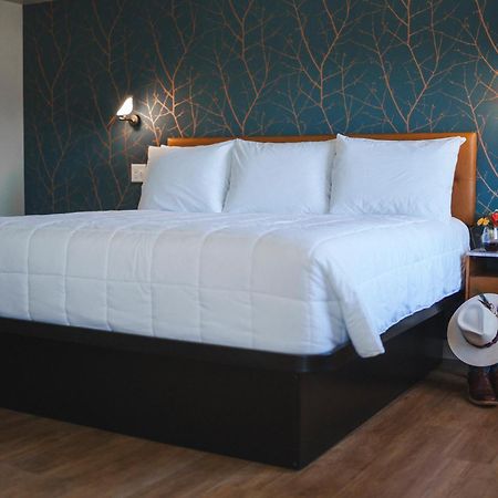 City Center Motel Hamilton Zewnętrze zdjęcie